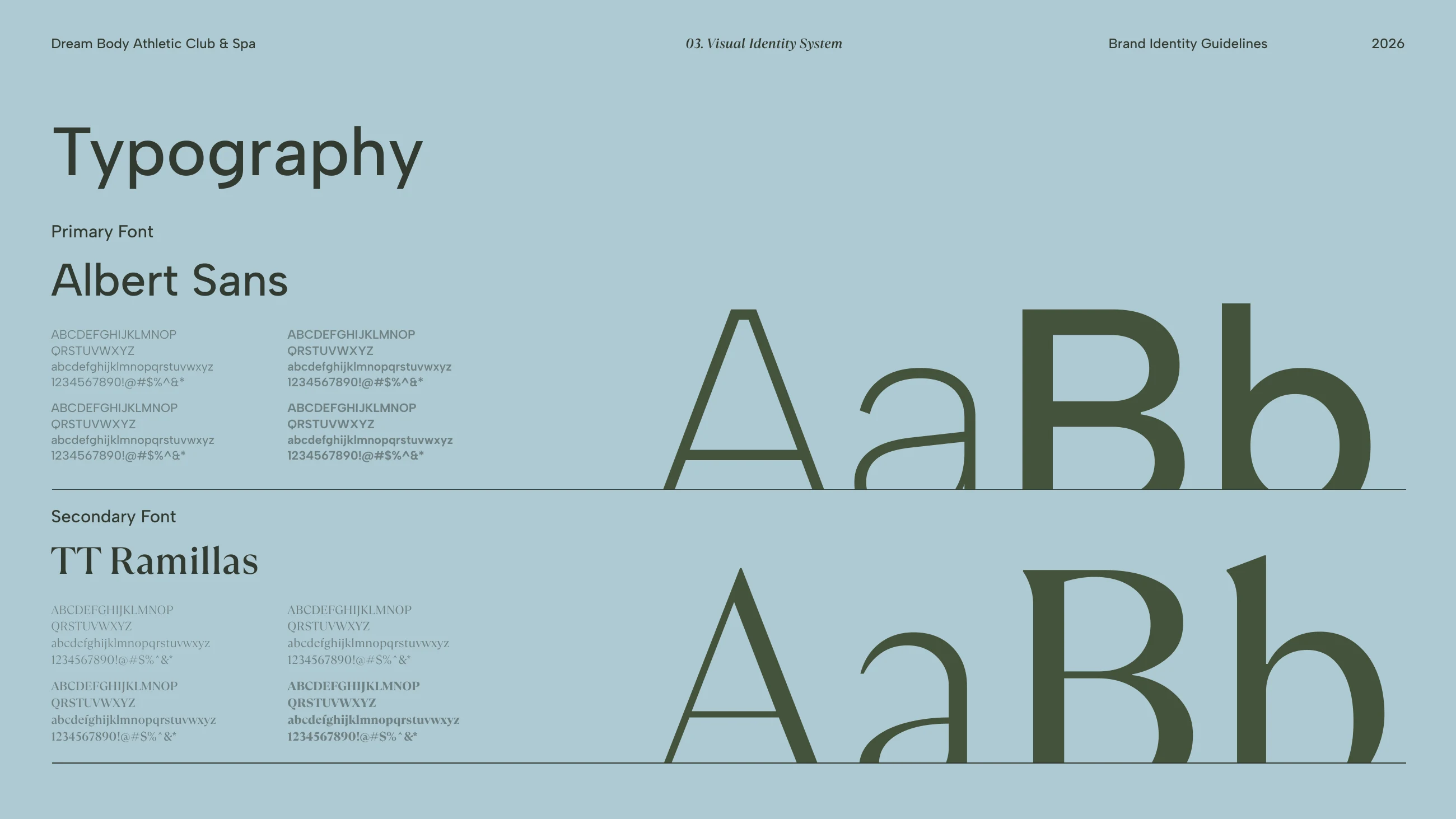 Albert Sans and TT Ramillas type specimens on pale blue