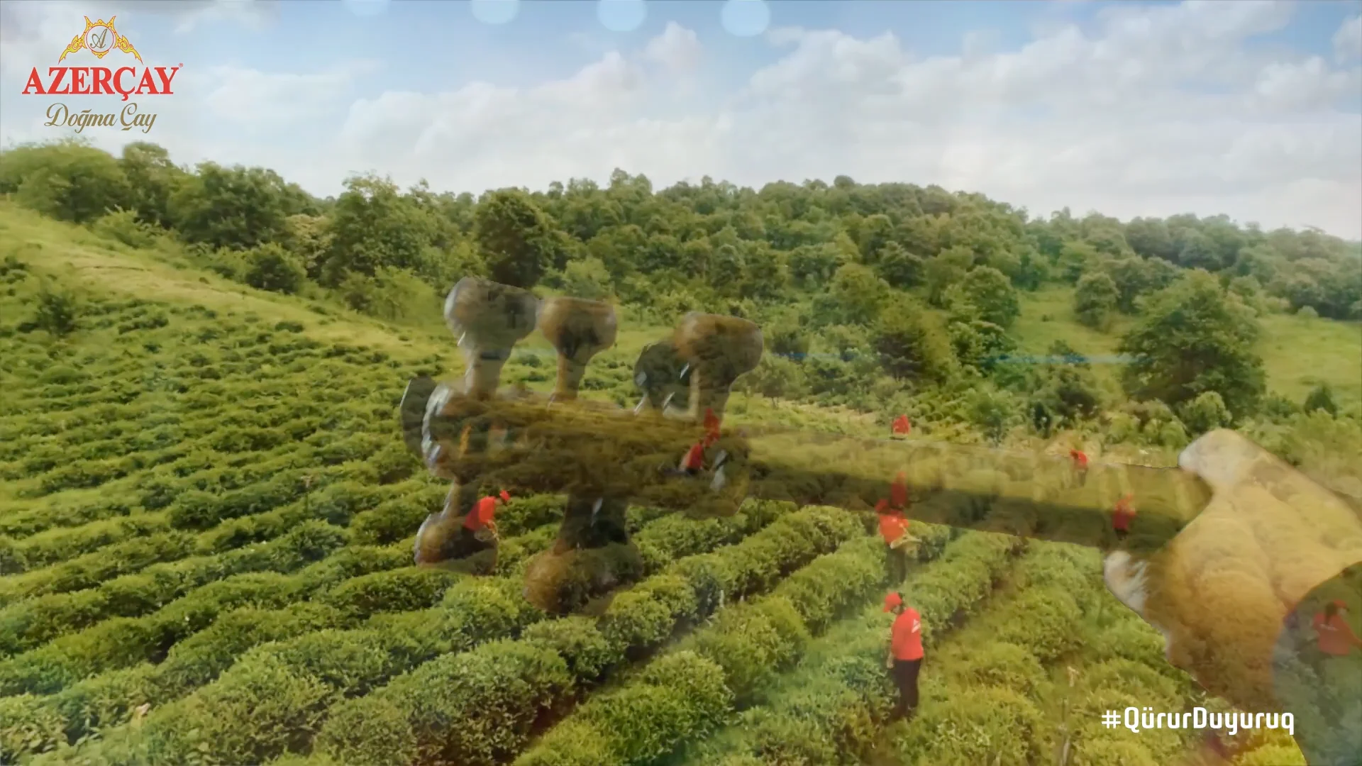 A frame from the Azerçay film
